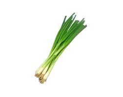 spring onion